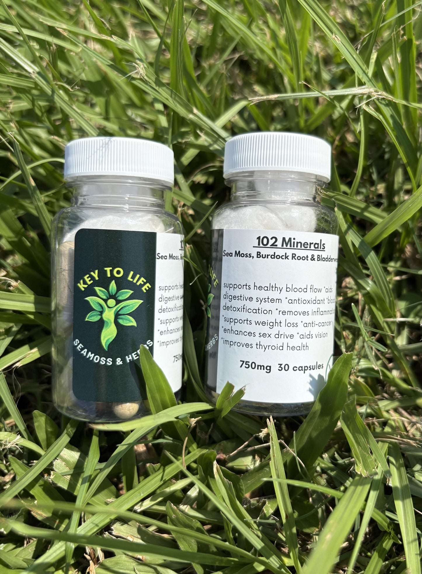 102 Mineral Capsule - Sea Moss, Bladderwrack & Burdock Root