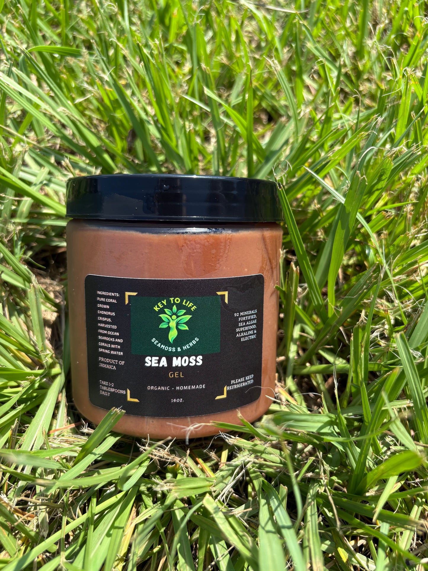 Chocolate Sea Moss Gel - 16 oz Jar