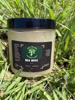 Plain Sea Moss Gel - 16 oz Jar