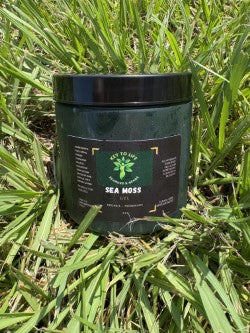 Chlorophyll Sea Moss Gel - 16 oz Jar
