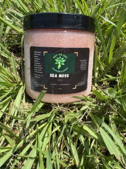 Elderberry Sea Moss Gel - 16 oz Jar