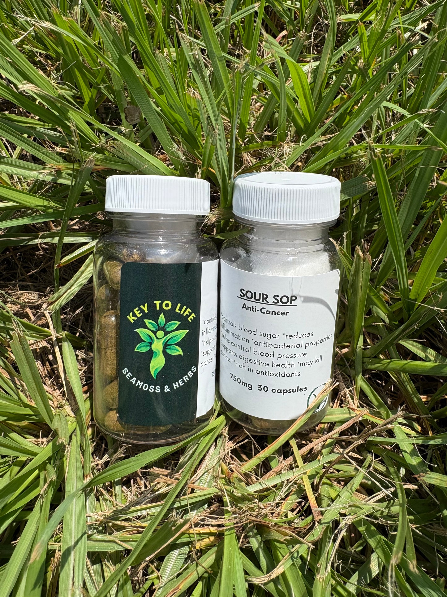 Sour Sop Capsules