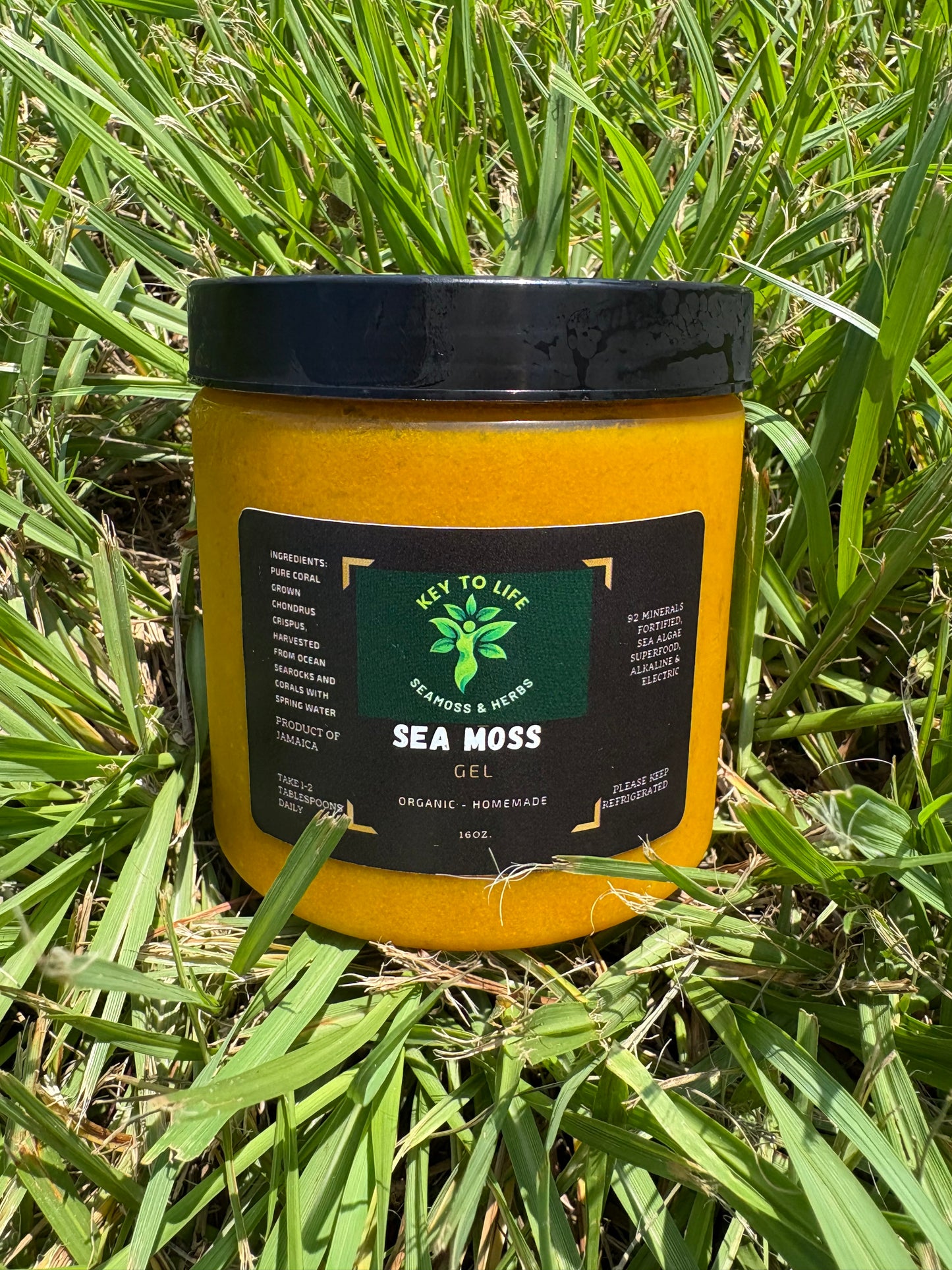 Turmeric Sea Moss Gel - 16 oz Jar